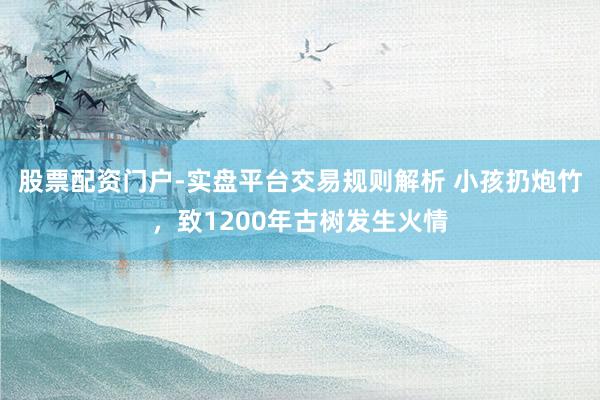 股票配资门户-实盘平台交易规则解析 小孩扔炮竹，致1200年古树发生火情