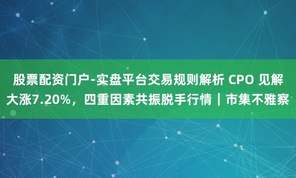 股票配资门户-实盘平台交易规则解析 CPO 见解大涨7.20%，四重因素共振脱手行情｜市集不雅察